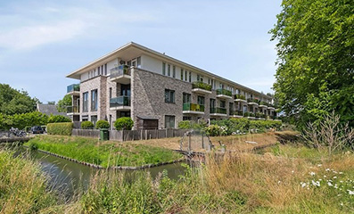 Gorter dakluik in Nedereindsehof