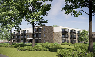 Dakluik in De Stoevelaar