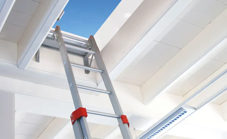 Gorter dakluik met ladder